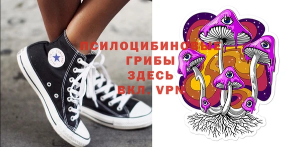 Альфа ПВП Баксан