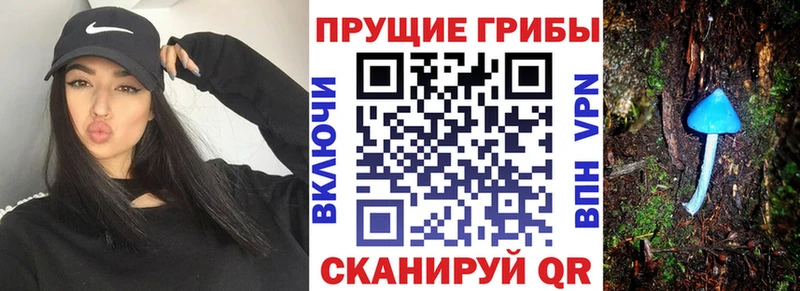 цены наркотик  Горнозаводск  Галлюциногенные грибы Psilocybine cubensis 